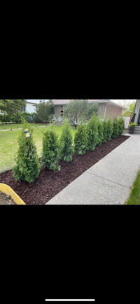 Landscaping services, Free Quotes!