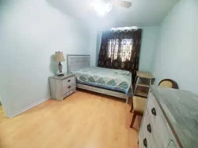 Share a house with Female near Sheridan:Female Professional only