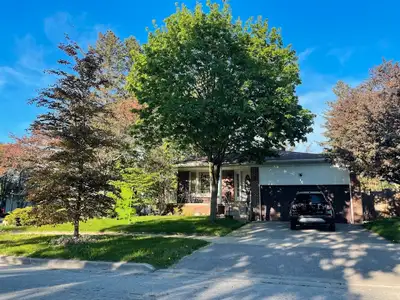 Whole house for rent