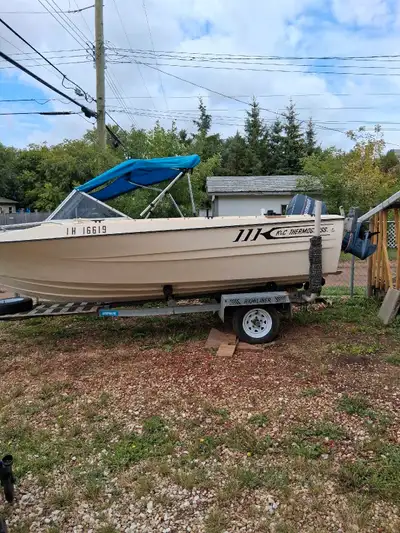 161/2 fiberglass fishing boat with stainless steel trailer , fish finder , Everude 70 hp and oil inj...
