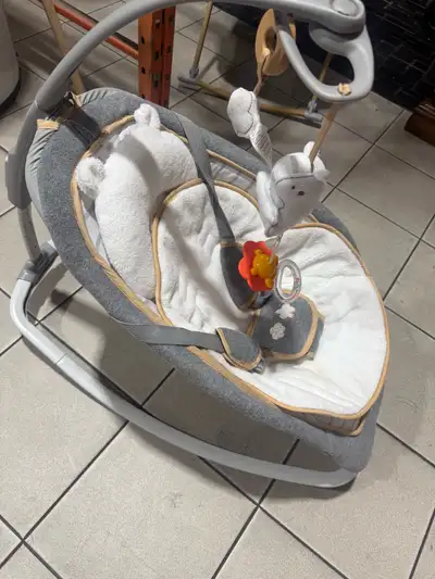 Baby Rocker and Bassinet, View more