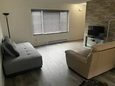 A furnished room on upper level in a bright 3-bedroom, 2-bathroom split-level townhouse with private...