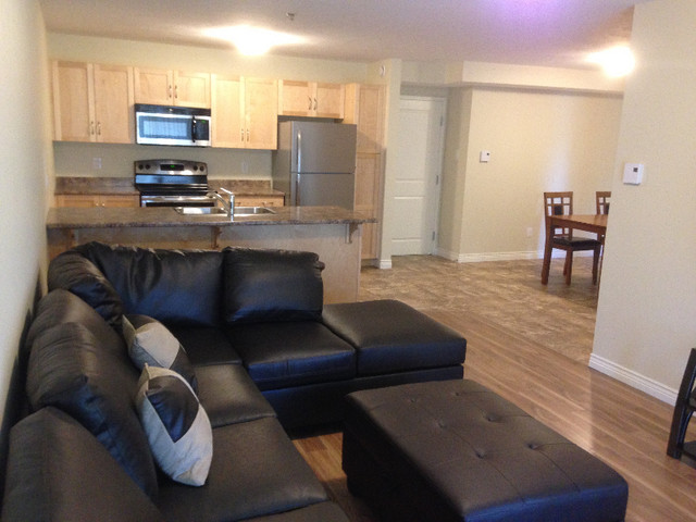 ULTRA INCLUSIVE RENT/LOYER ULTRA-INCLUSIF in Long Term Rentals in Moncton - Image 2