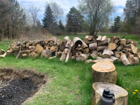 Camp fire wood for sale