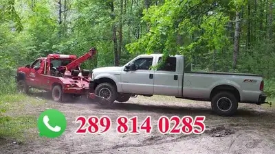 We Buy cars for top prices call or text 289 814 0285
