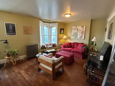 Furnished room for rent in a bright, spacious 1200 sq ft 3-bedroom apartment (one room for storage)...