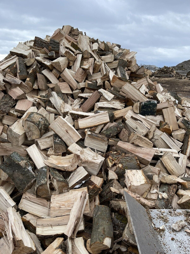 Seasoned Bagged Firewood in Fireplace & Firewood in City of Toronto - Image 2