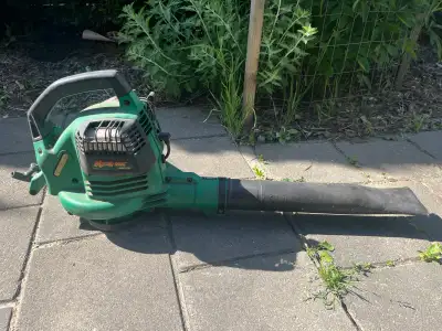 2 stroke leafblower - wont start, View more