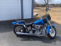 1991 Harley Davidson Softail for sale