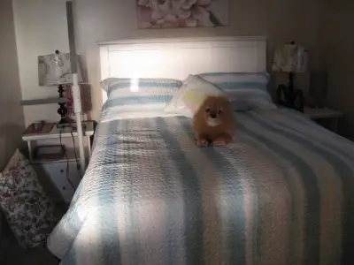 i have a 3 bedroom apt in east Saint John near the refinery every thing is included all the admentie...