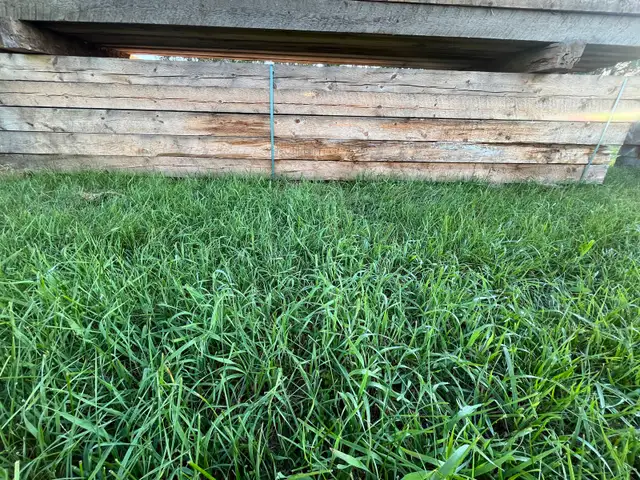 Lift (40 pcs) 6x6-16' non treated rough spruce....$800.00