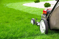 Affordable grass cutting services in kanata