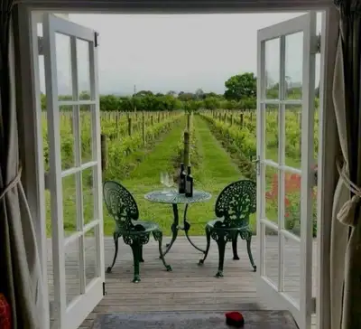 WINTOURS & WEDDINGS, View more