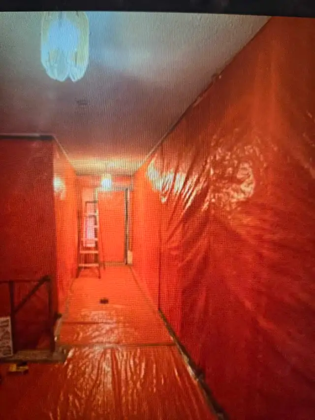 Mould and Asbestos Removal62864359427971124