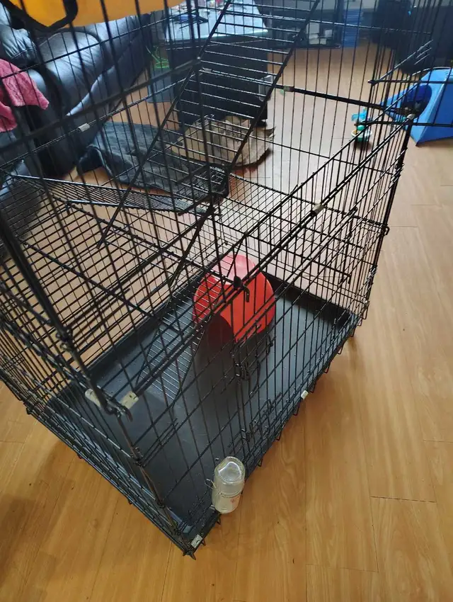 cage à rongeurs  in Other in Rimouski / Bas-St-Laurent - Image 3