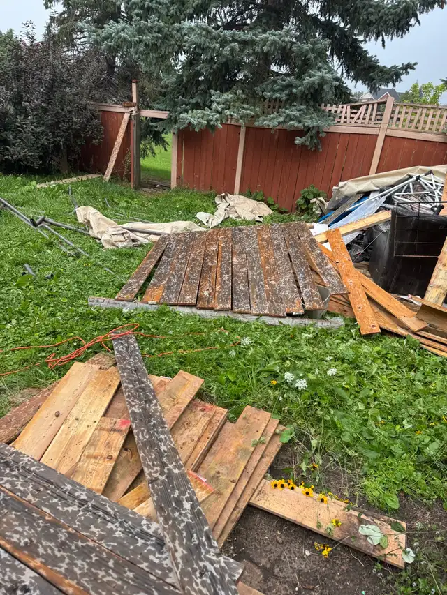free lumber566978750836920322