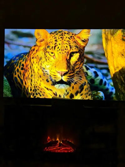 Samsung 65” 4K TV 2024 with Box, View more