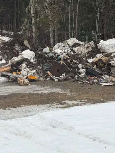 By the load plus dump fees. Skid steer assist and demolition available. Text 2505529252