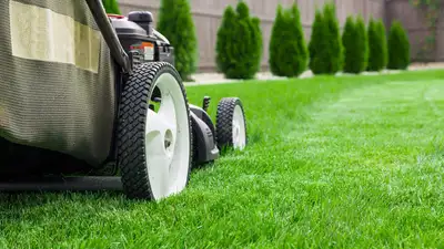 Waterloo Yardwork: Mowing and Trimming $45, View more