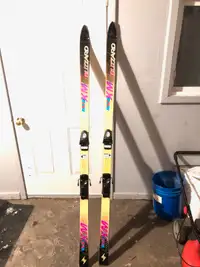Skis: XM Blizzard: 74 in / 188cm tall (Pickup in Centrepointe)