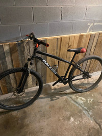 Raleigh mountain bike 