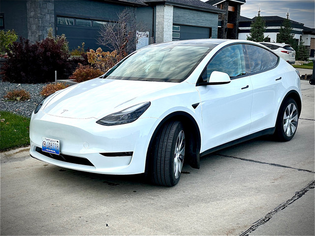2023 Tesla Model Y Dual Motor Long Range AWD in Cars & Trucks in Winnipeg