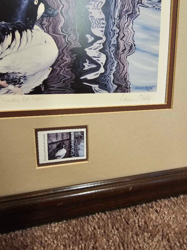 Ducks unlimited print  in Arts & Collectibles in Red Deer - Image 3