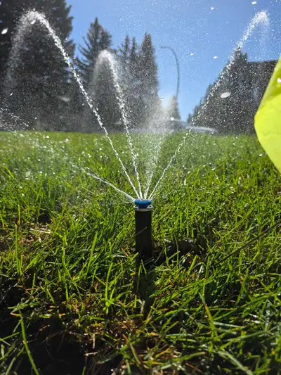 Ensure your landscape stays healthy and efficient with professional irrigation solutions. We provide...