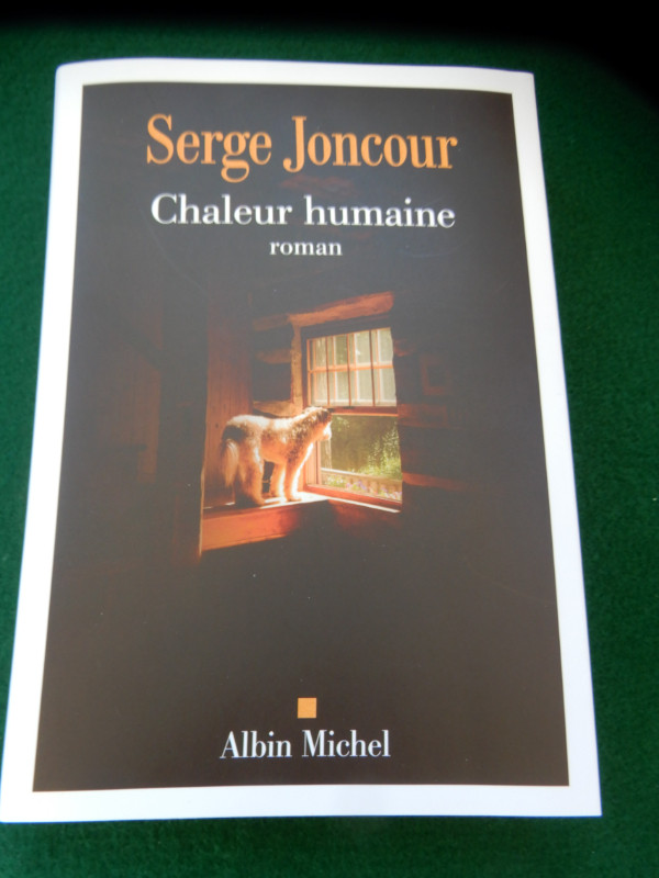 Le plus récent et CHALEUREUX roman de Serge JONCOUR dans Manuels  à Sherbrooke