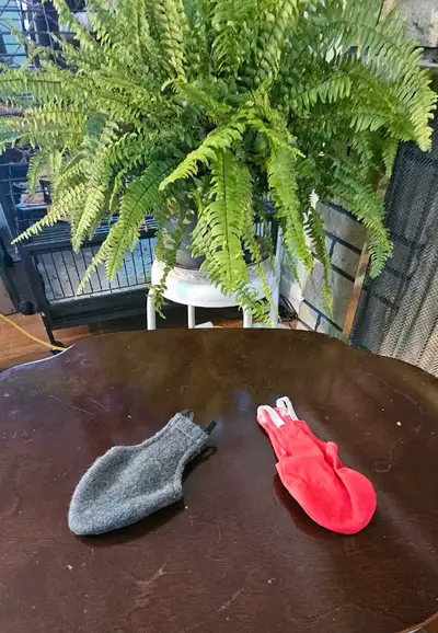 These will fit smaller parrots like a Myers, Senegal or Conure Excellent condition Your pet can stil...