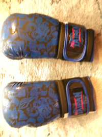 New Taipan Sports Boxing Gloves