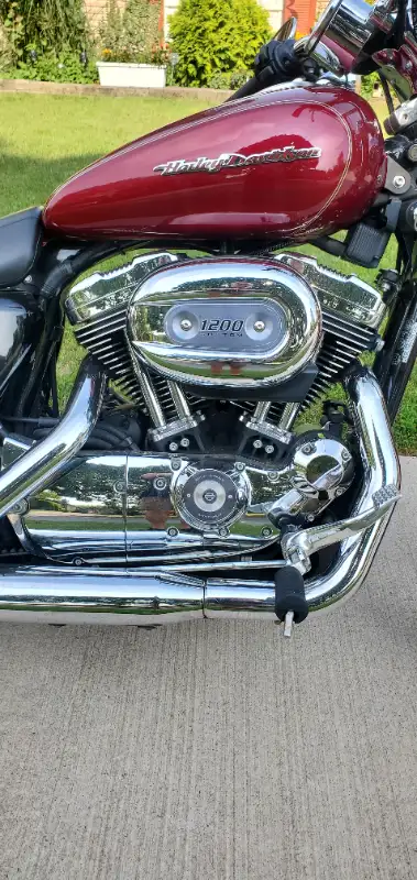 2005 HD, 1200 Sportster XL Custom in Street, Cruisers & Choppers in St. Catharines - Image 7