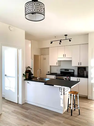 1 Bedroom Apt in Warkworth
