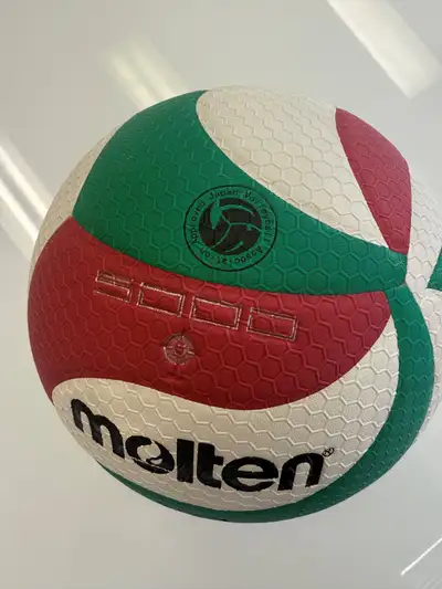 Volleyball Professional, View more