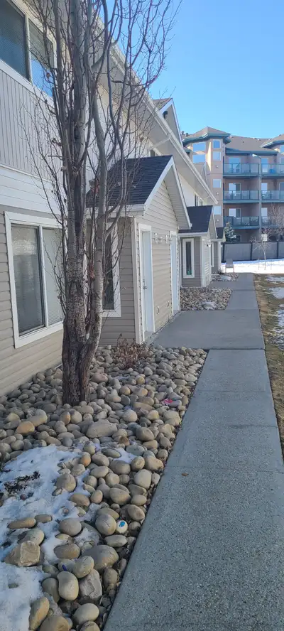 Leduc room rent 750