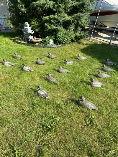 Vintage 15 D-9-R VICTOR Duck Decoys 1967 by Woodstream & Waders, View more