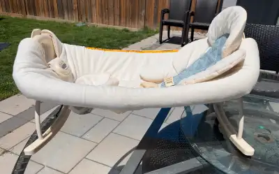 Ingenuity Rocking Bassinet, View more