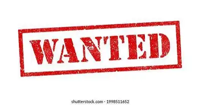 WANTED - Yellow, Red, or White Morph Bearded Dragon Wanted , View more