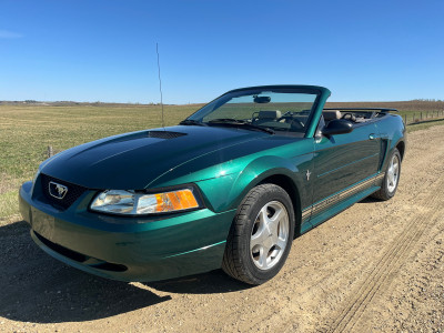 2001 Ford Mustang - 115,000 km’s