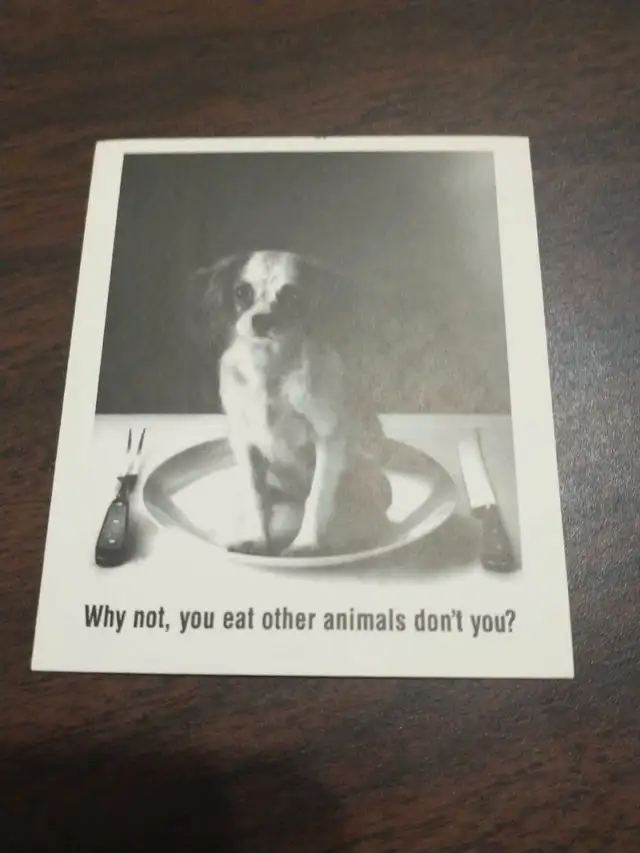 Why not, you eat other animals don't you? Sticker 62863285763713121