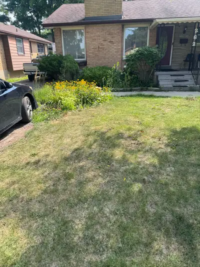 Text me if you need any work in your yard Lawn mowing/bagging Mulch River stone Edging Weed removal...