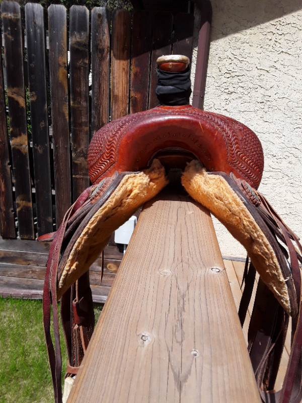 Versatility style Western Saddle Size 15 1/2" in Equestrian & Livestock Accessories in Calgary - Image 3