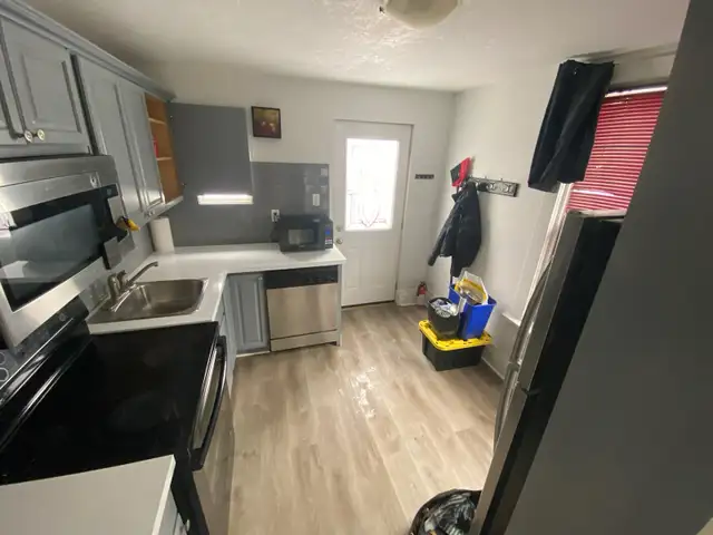 Mature Students/ new professionals