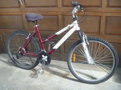 Raleigh Portage Ladies hardtail mountain bike, View more