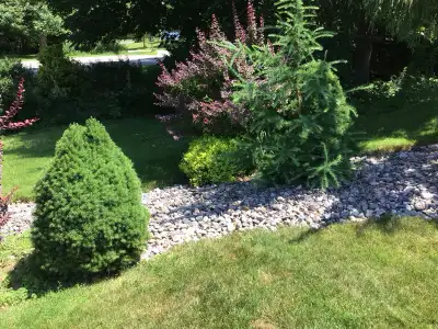 Garden helper WANTED, View more