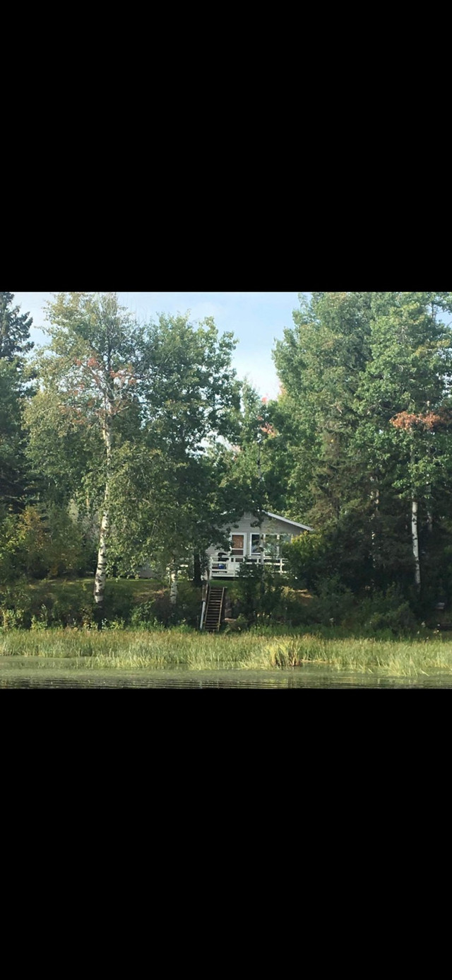 Cottage on the Lake in Houses for Sale in St. Albert - Image 2