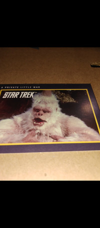 STAR TREK - A PRIVATE LITTLE WAR - 1991  TRADING CARD