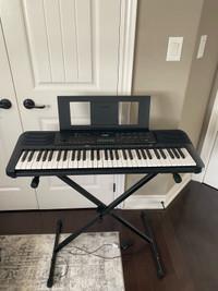 Electric Piano (With Stand)