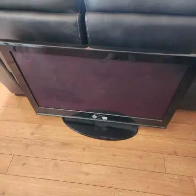 It as a line in it but works fine other wise free 42inches plasma no remote