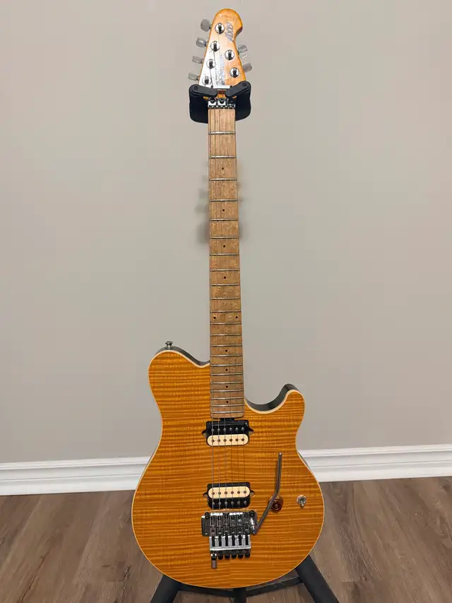 True Tone Electric Guitar Setups and Detailing in Guitars in Kingston - Image 8